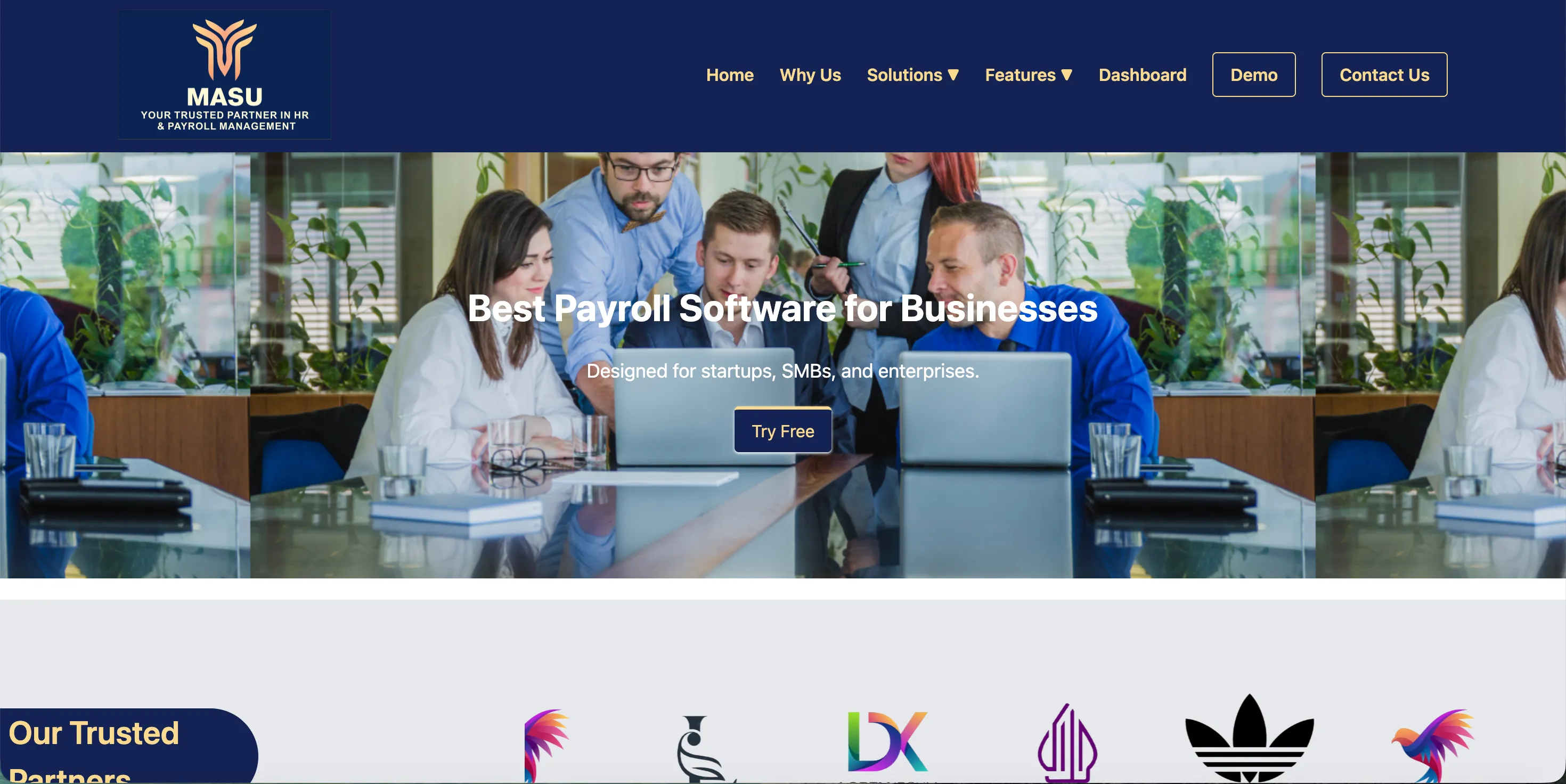 Masu Consultancy website 1